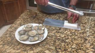 Shucking an Oyster with Easy to Use Oyster Shucker