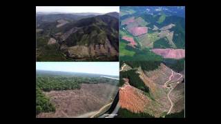 Heal Yourself, Heal the World: Michael Klaper, M.D.