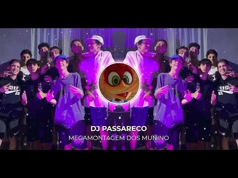 MEGAMONTAGEM DOS MUNINO by DJ Passareco (ft. chemical surf) MEGAFUNK