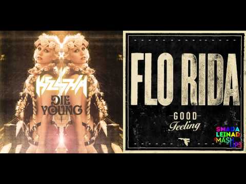 Ke$ha vs. Flo Rida - Die Feeling Good (V2)