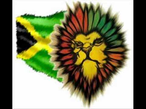 Mosco Fly-Yerba Natural