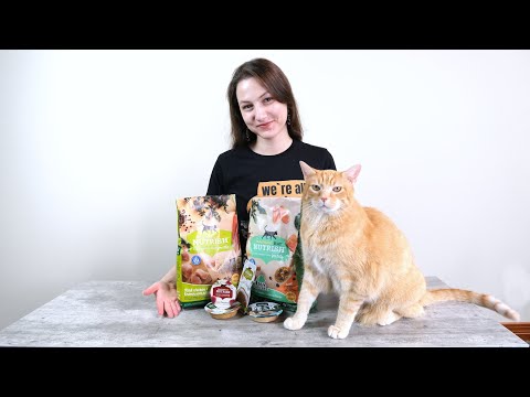 Rachael Ray Nutrish Cat Food Review