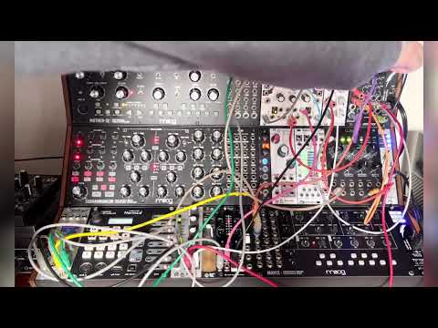 Jamuary day 25 - Pamela’s Pro Workout appreciation post