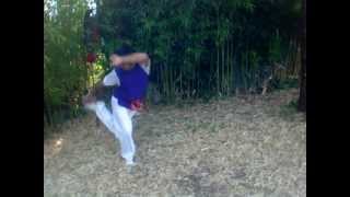 Kwai-Hok-Tang-Lang-Kuen-Tao / Praying Mantis and Ghost Crane technique