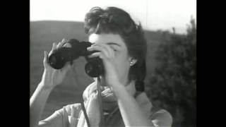 Jah Wobble + Marconi Union - Reality Crash