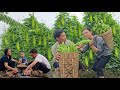 Single Mother Love From Bitter Melon To The Gift From The Landlady To My Father Ly Thi Duyen