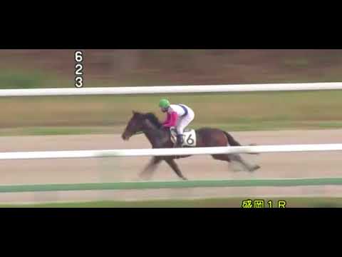 Aozora Hitorikiri by SMART ROBIN