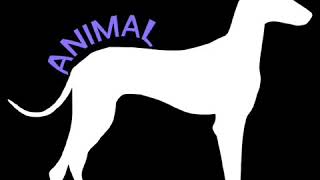 Alvaro Soler - ANIMAL