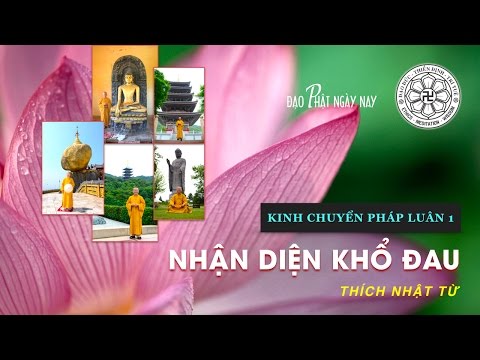 Kinh Chuyển Pháp Luân 1 (2013): Nhận diện khổ đau