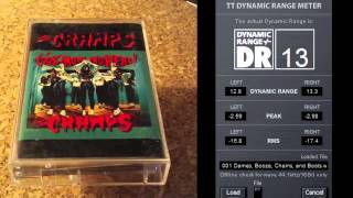 The Cramps - Dames, Booze, Chains, and Boots