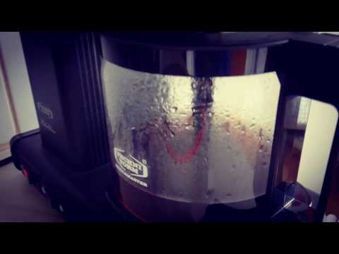 Kohta tulee iltapäivän kahveet