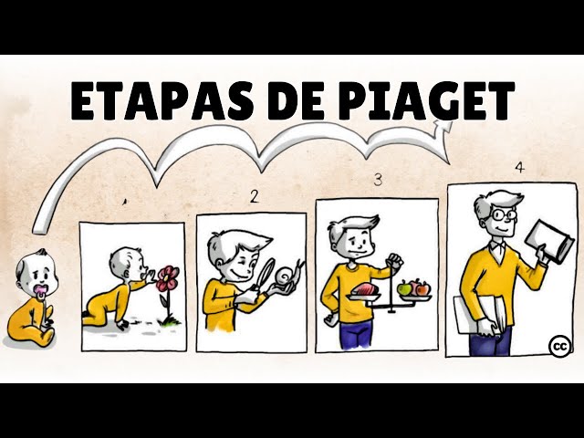 Vídeo relacionado con Jean Piaget: Desarrollo Cognitivo: Teoría, Etapas y Aplicaciones en Psicología y Educación. (Principales Escuelas de Psicología: Teorías, Enfoques y Autores Clave.)