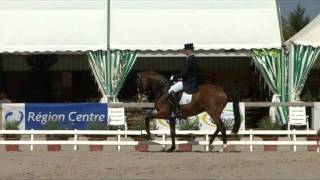 Video koně Bukowski