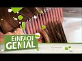 Haare schmerzfrei bürsten mit dem ZieptNie-Kamm | Einfach ...