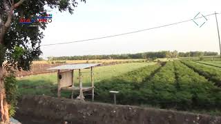 Download lagu Duka dalam Cinta 'ipung' mp3