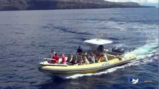 preview picture of video 'Whale Watching La Gomera, Los Organos SPEEDY-ADVENTURE Trailer'
