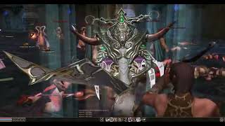 Cuco - Up do 56 ao 95