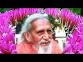 सतगुरु चरण टहल नित करिए नवरत्न के फल ए�