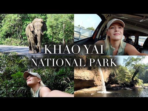 KHAO YAI NATIONAL PARK, Thailand Vlog | day trip from Bangkok, elephants, waterfalls, hiking, jungle