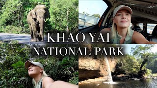 KHAO YAI NATIONAL PARK, Thailand | day trip from Bangkok, elephants, waterfalls, hiking, jungle...