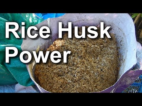 Grinding of rice husk