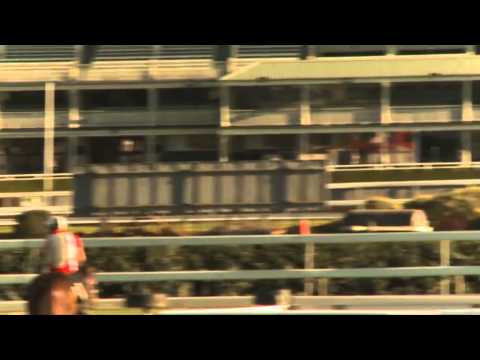 George Main Stakes preview - Anthony Cummings