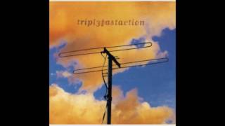 Triple Fast Action - Sally Tree