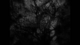 Fifth to Infinity - Masters unbound (2009)