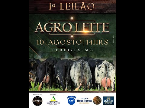 1º LEILÃO AGRO LEITE - FILIPE MAGNO LEILÕES - PERDIZES-MG