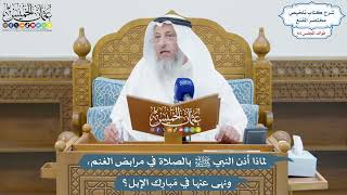 3077 - لماذا أذن النبي ﷺ بالصلاة في مرابض الغنم، ونهى عنها في مَبارِك الإبل؟ - عثمان الخميس
