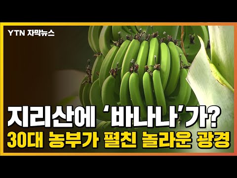 아이콘