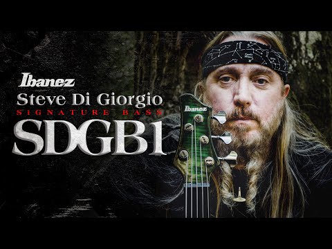 IBANEZ SDGB1 DMT Dark Moss Burst / 5-String Fretless / Steve Di Giorgio (Testament) Signature / SDGB1-DMT / I251007938 image 15