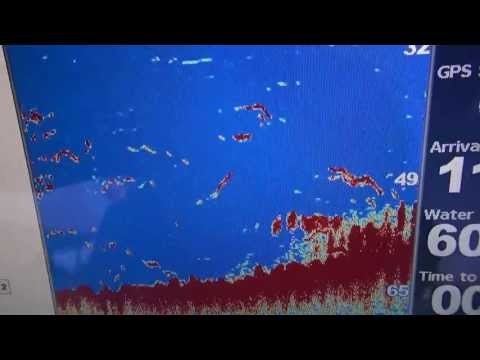 Garmin GSD 24 Sounder Images - Shallow Water 50Ft