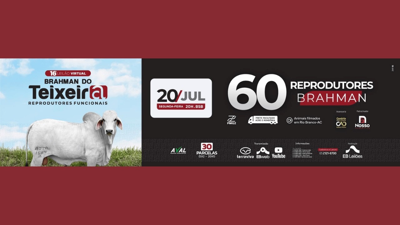 16º LEILÃO VIRTUAL BRAHMAN DO TEIXEIRA | 20/07/2026 – 20H