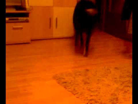 Devaki, hast Du Hunger?