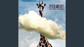 Lies You Forgot You Told