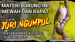 Download lagu BIKIN JURI NGUMPUL!! Masteran Kasaran Nada TINGGI - MASTERAN Tembakan RAPAT Untuk BURUNG LOMBA mp3