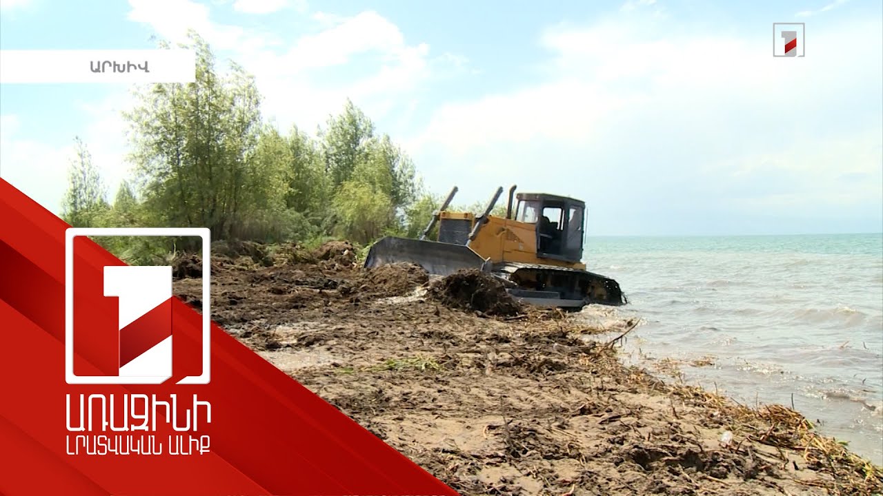 Ինչու են սոճիները չորանում. մասնագետները շուտով կամփոփեն «Սևան» ազգային պարկի կառավարման նոր պլանը