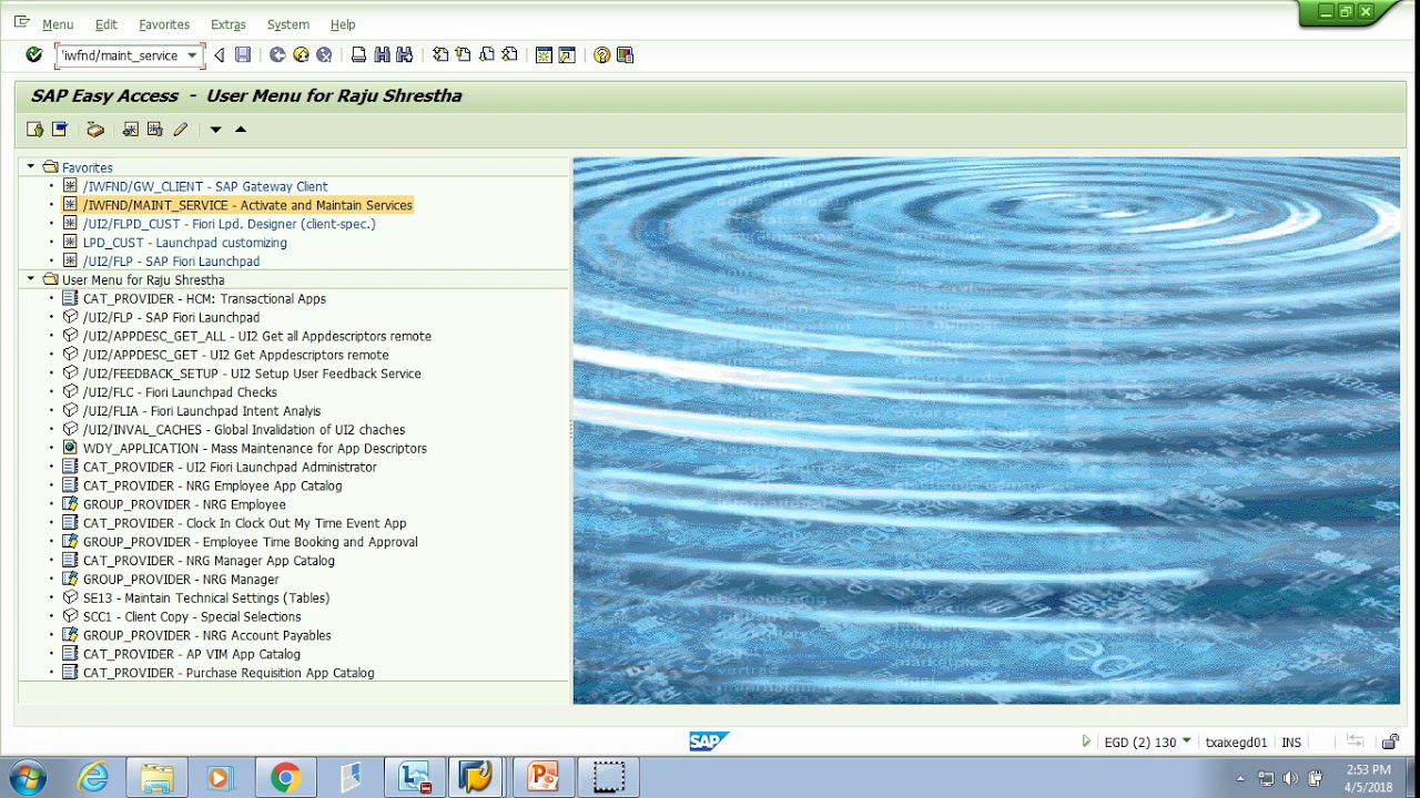 OData & SAP Netweaver Gateway - 012 System Demo 2