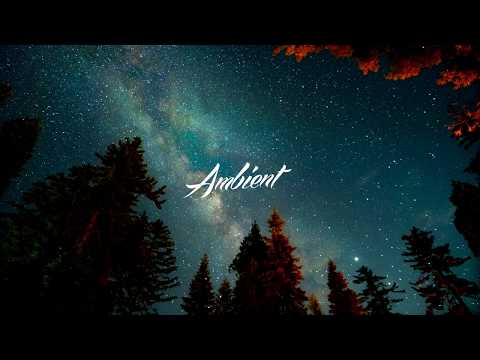 Wide Waters - And Into the Forest I Go, To Lose My Mind and Find My Soul