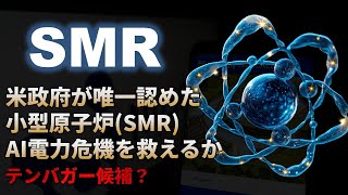 【SMR｜分析】小型モジュール原子炉SMRでAI電力危機を救うNuScale Power（ニュースケールパワー）！テンバガー候補？