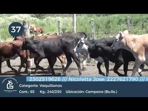 Lote Vq Inv - Campana - Bs As