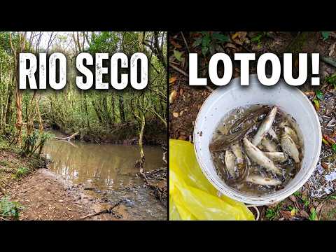 RIO BAIXO E MESMO ASSIM LOTADO DE PEIXE! Olha o que pegamos 😱🎣