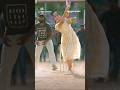 Rashmika Mandanna Hits It Out Of The Park Vijay Devarakonda Dear Comrade Primevideoindia