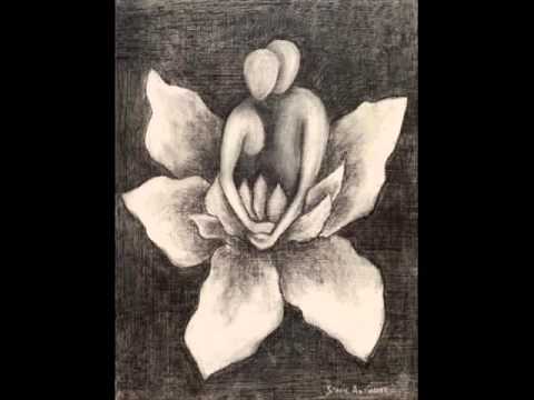 Orchid-Star - Lotus Bloom