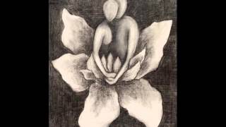 Orchid-Star - Lotus Bloom