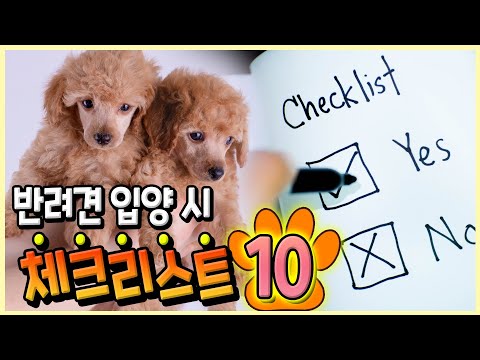 강아지 입양시 확인해야할 필수 체크리스트