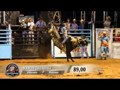 Rodeio de Lucianópolis 2015 - MELHORES MONTARIAS / QUINTA FEIRA