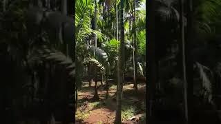 2 BHK Farm House for Sale in Chaul, Alibag, Raigad