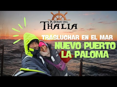 UN PUERTO MAS: PUERTO LA PALOMA URUGUAY [EP.11]